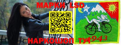 гашик Кунгур