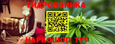 гашик Кунгур
