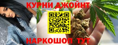 гашик Кунгур