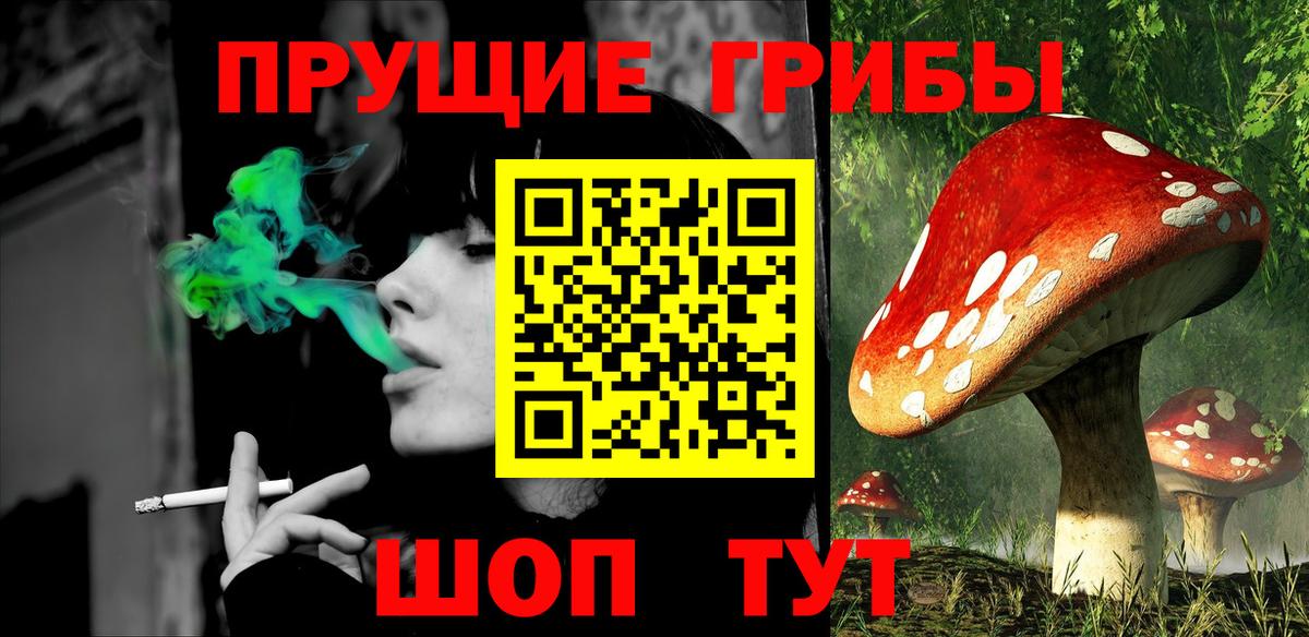 Галлюциногенные грибы GOLDEN TEACHER  Псилоцибиновые грибы прущие грибы  Вход с VPN  наркошоп  Кинель 