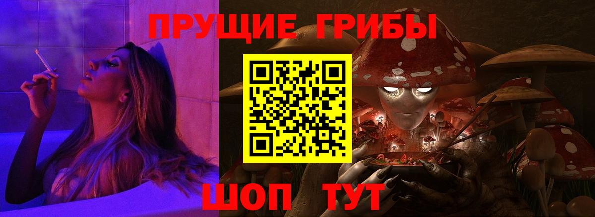Псилоцибиновые грибы прущие грибы Кинель